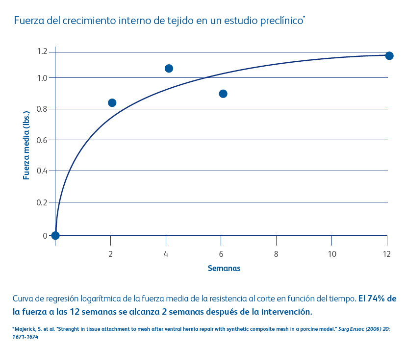 Posterior layer