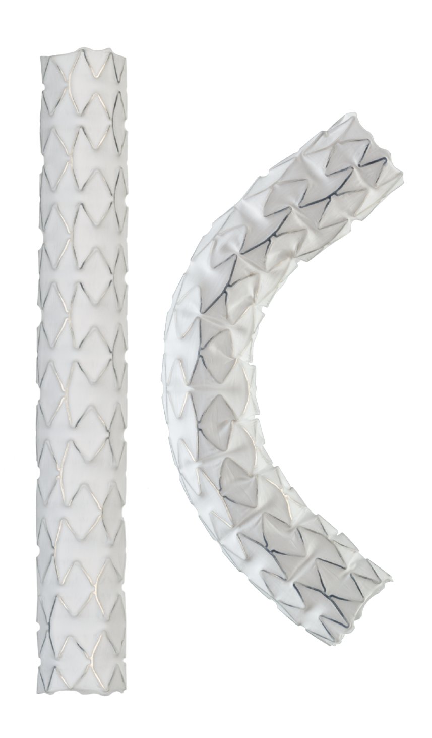 two-stents